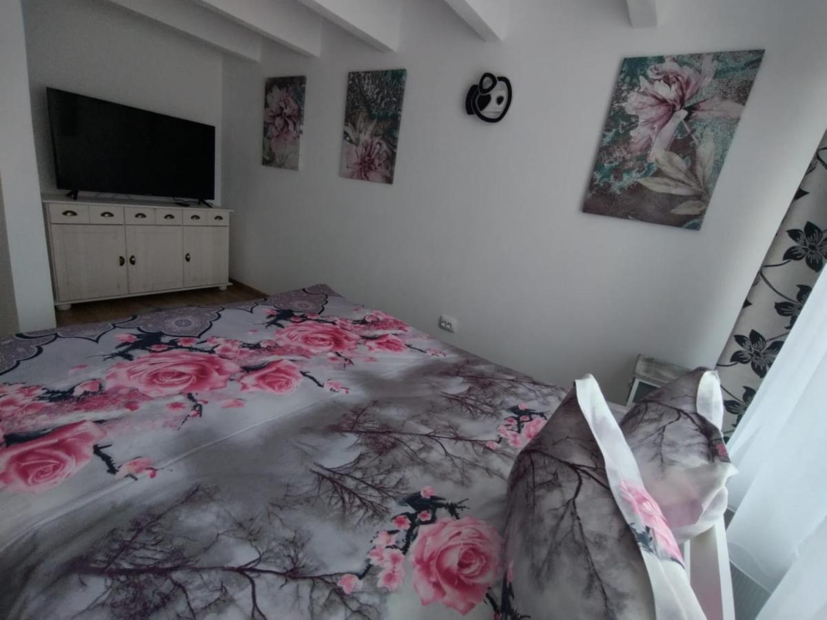 Apartament Alyosha Sighişoara Exterior foto